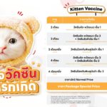 แพ็คเกจวัคซีนแมวแรกเกิด (Kitten Vaccine Package)