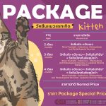 แพ็คเกจวัคซีนแมวแรกเกิด (Kitten Vaccine Package)