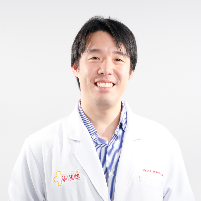 Website Vet's pic