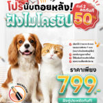 โปรโมชั่นสำหรับฝังไมโครชิป (Microchip)