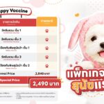 แพ็คเกจวัคซีนสุนัขแรกเกิด (Dog Vaccine)