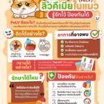 ลิวคูเมียในแมว คืออะไร???