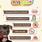 LINE_ALBUM_Artwork_260520_4