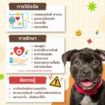 LINE_ALBUM_Artwork_260520_5
