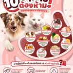 10 อาหารต้องห้ามสำหรับน้องหมา&น้องแมว