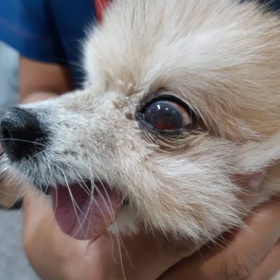 น้องสรยุทธหลังรักษาอาการดีขึ้น