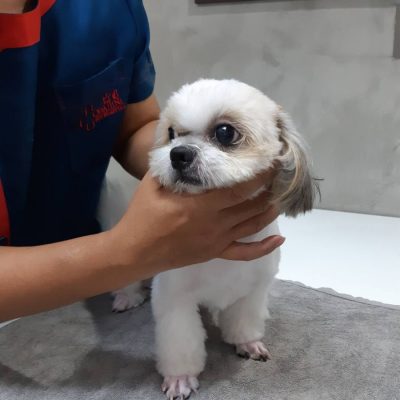 น้องฮารุ ดีขึ้นแล้วครับ...